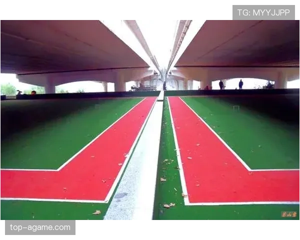 草坪场地规则拆解：比赛中草坪质量如何影响判罚标准？